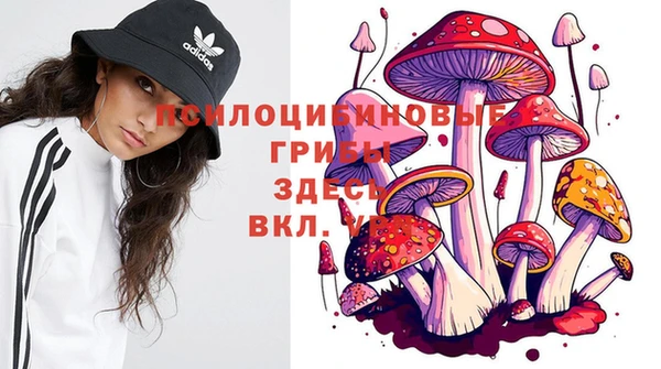 наркотики Вяземский